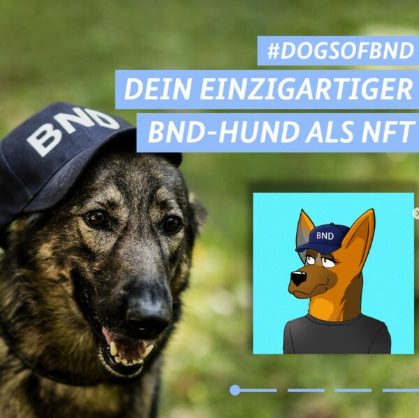 Dogs of BND from bndkarriere IG